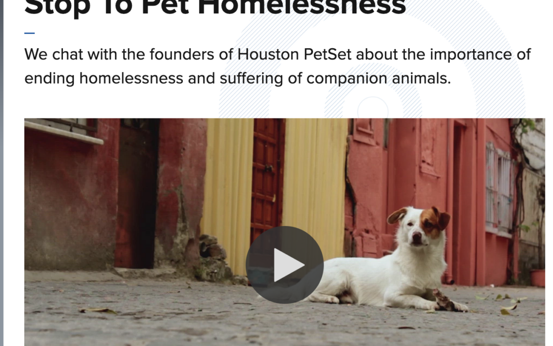 Houston PetSet Helps Put a Stop to Pet Homelessness